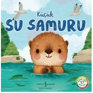 Küçük Su Samuru
