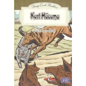 Kurt Hücumu
