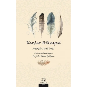 Kuşlar Hikayesi