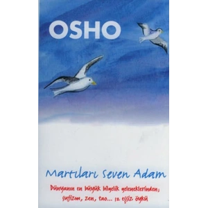 Martıları Seven Adam
