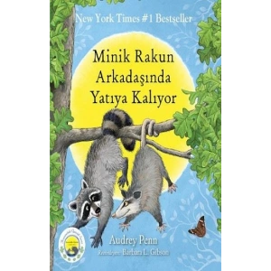 Minik Rakun Arkadaşında Yatıya Kalıyor