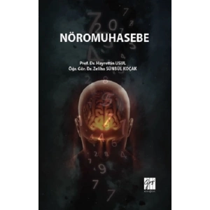 Nöromuhasebe
