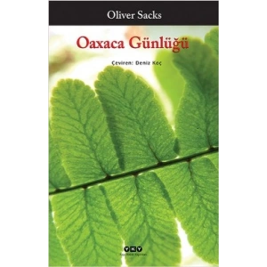 Oaxaca Günlüğü