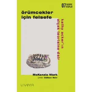 Örümcekler İçin Felsefe: Kathy Acker’ın Alçak Teorisine Dair