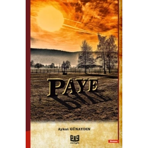 Paye