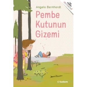 Pembe Kutunun Gizemi