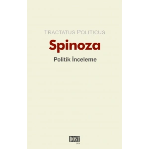 Politik İnceleme