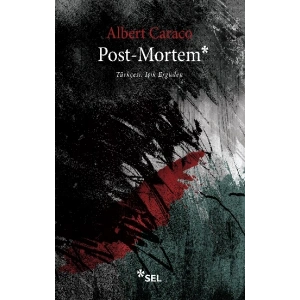 Post-Mortem