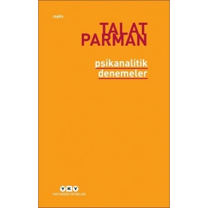 Psikanalitik Denemeler
