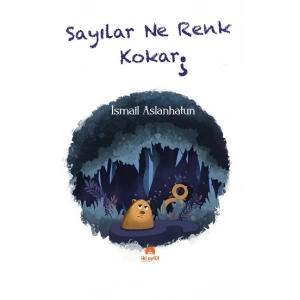 Sayılar Ne Renk Kokar