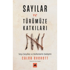 Sayılar ve Türümüze Katkıları