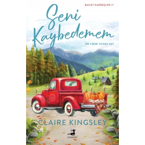 Seni Kaybedemem