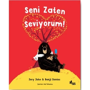 Seni Zaten Seviyorum