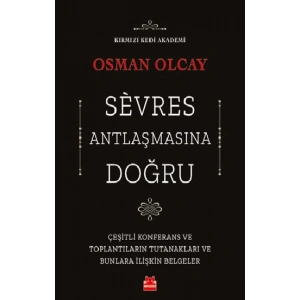 Sevres Antlaşmasına Doğru