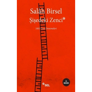 Şişedeki Zenci