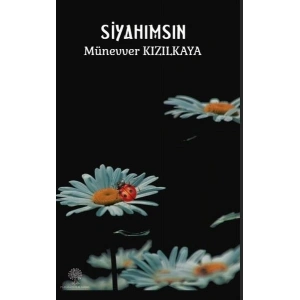 Siyahımsın