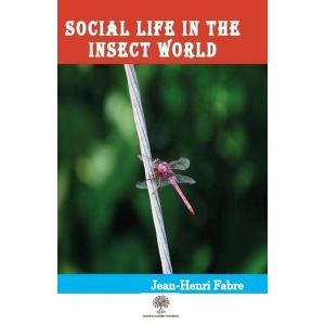 Social Life in the Insect World