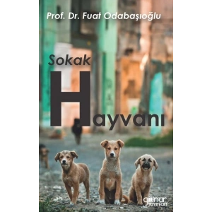 Sokak Hayvanı