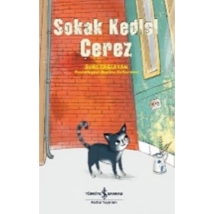 Sokak Kedisi Çerez