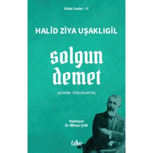 Solgun Demet