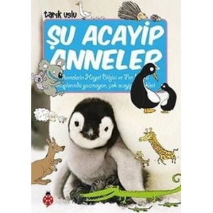 Şu Acayip Anneler