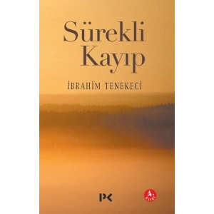 Sürekli Kayıp