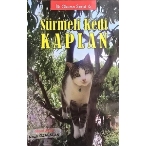 Sürmeli Kedi Kaplan