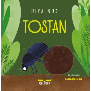 Tostan