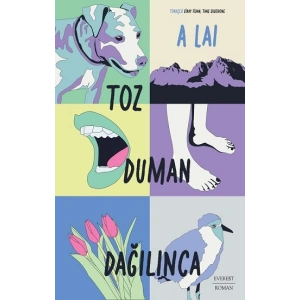 Toz Duman Dağılınca