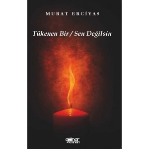 Tükenen Bir / Sen Değilsin