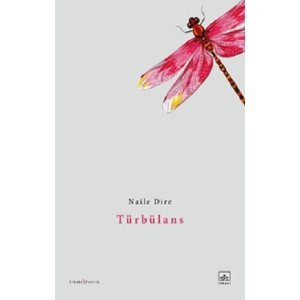 Türbülans