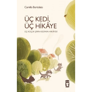 Üç Kedi, Üç Hikaye