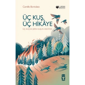 Üç Kuş, Üç Hikaye