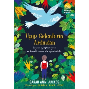 Uçup Gidenlerin Ardından