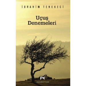 Uçuş Denemeleri