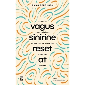 Vagus Sinirine Reset At