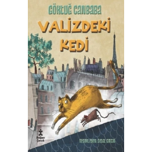 Valizdeki Kedi