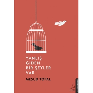 Yanlış Giden Bir Şeyler Var