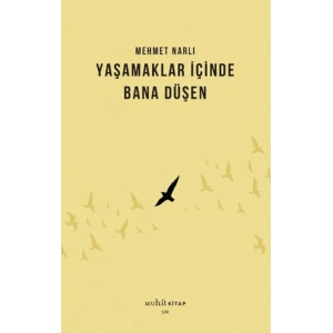 Yaşamaklar İçinde Bana Düşen
