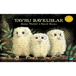 Yavru Baykuşlar