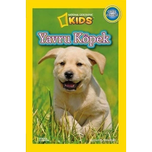 Yavru Köpek