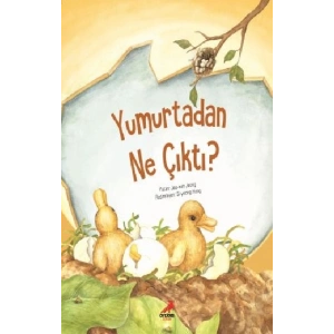 Yumurtadan Ne Çıktı?
