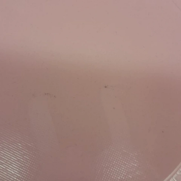 PİKNİK TABAĞI 12Lİ