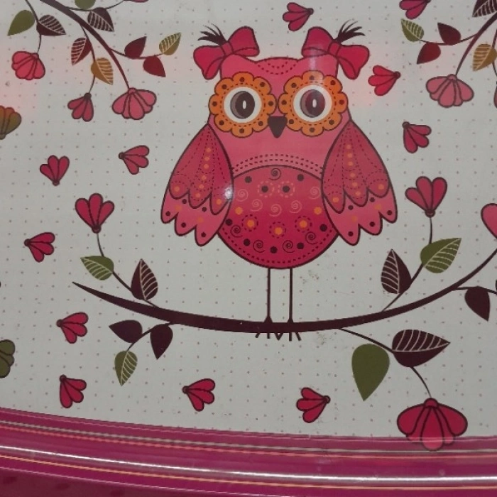 BÜYÜK TEPSİ BAYKUŞ 365X280