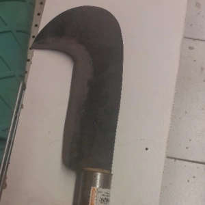 SAPLI ORAK (TAHRA) SAİT DEMİRCİ