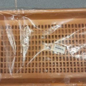 BARDAK SETİ ORJİNAL