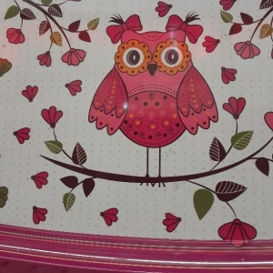 BÜYÜK TEPSİ BAYKUŞ 365X280