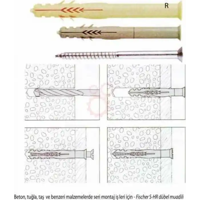 Apolo Mea 501186 Dübel R 8 x 60 SP
