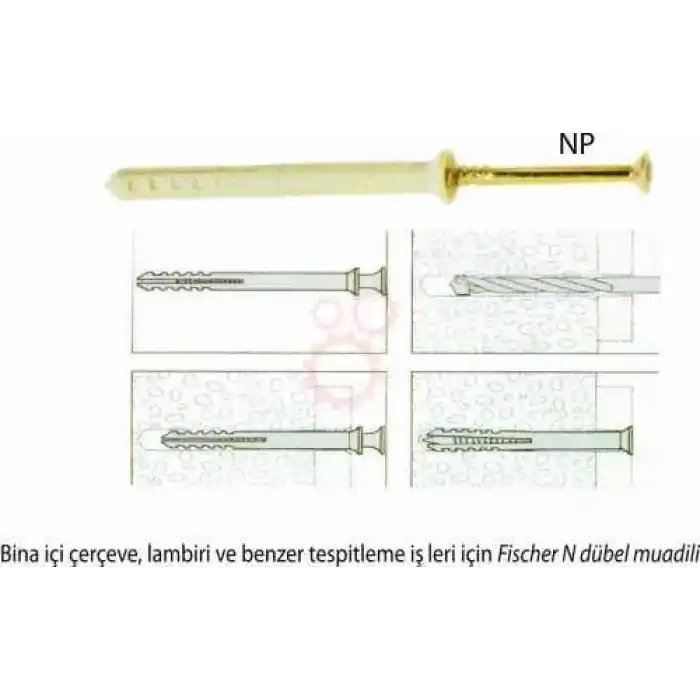 Apolo Mea 501505 Dübel NP 6 x 40