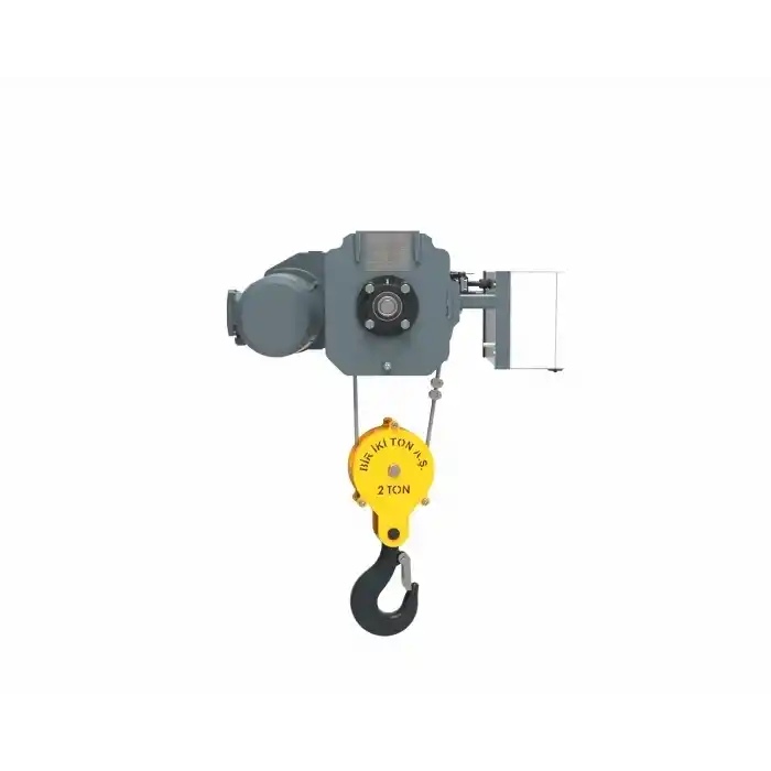 Birikiton 2000 KG 2 Hareketli Sabit Kaldırma Makinesi FEM / ISO 2m/M5